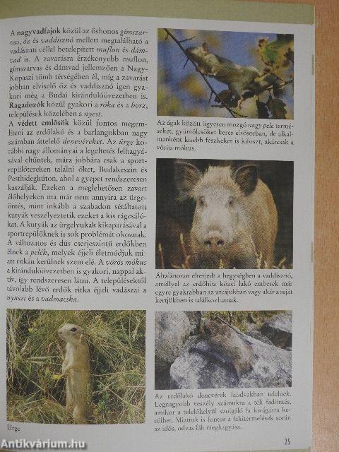 Fedezze fel a Budai Tájvédelmi Körzetet!