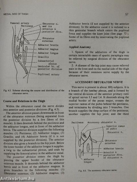 Human Anatomy 2. - Lower Limb & Abdomen