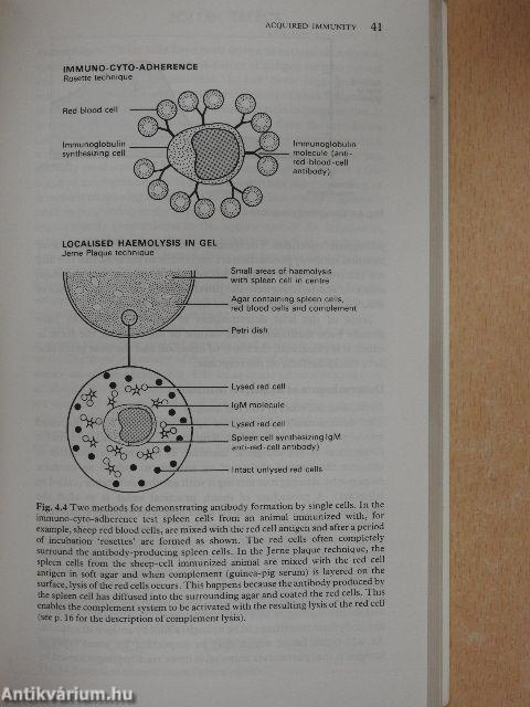 Immunology