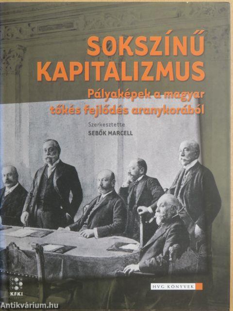 Sokszínű kapitalizmus