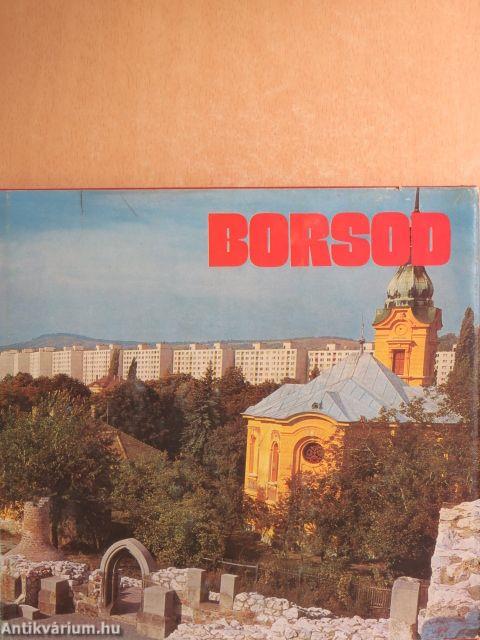 Borsod