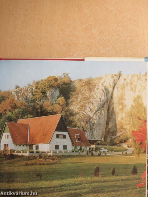Borsod