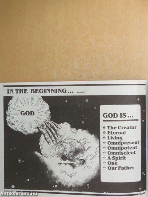 Az élet világossága