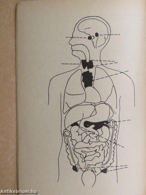Pszichológiai gyakorlatok