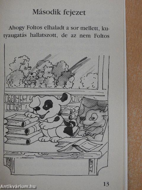 Cam Jansen és a csodakutya