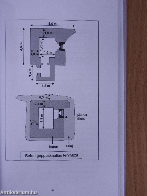 Az Árpád-vonal története