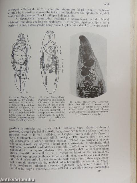 Bakteriologia, immunitástan, parazitologia