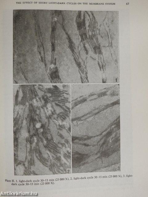 Acta Biologica Tomus XXX. Fasciculi 1-4.