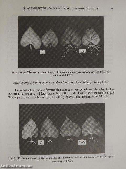 Acta Biologica Tomus XXXVI. Fasciculi 1-4.