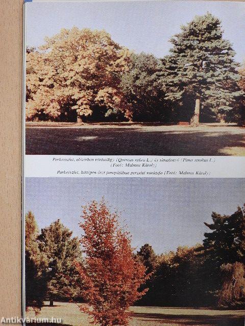 A szarvasi arborétum