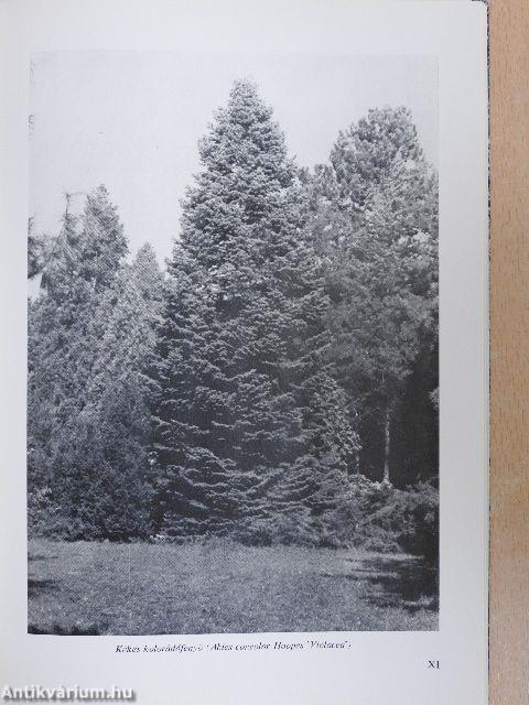 A szarvasi arborétum