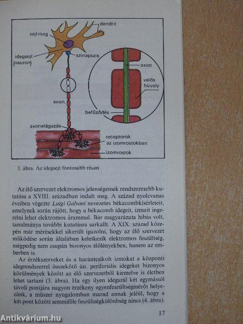 A gyógyító technika