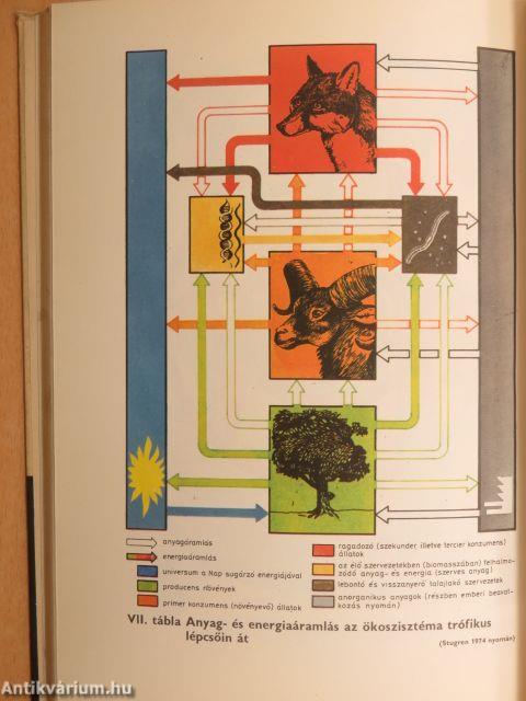 Korunk környezetbiológiája