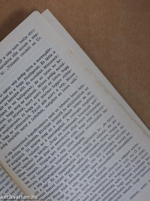 Mózes az Isten jelenlétében