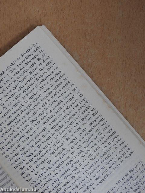 Mózes az Isten jelenlétében