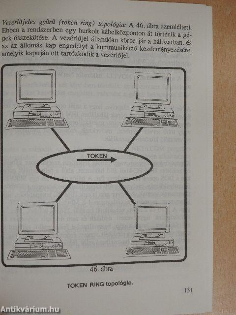 Számítástechnikai ismeretek I.