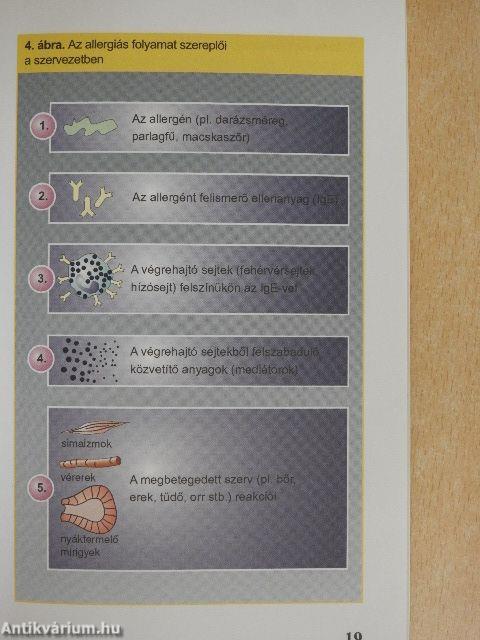 Rovarcsípések és más életveszélyes allergiák