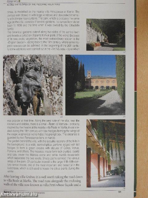 The landscapes of wine and oil