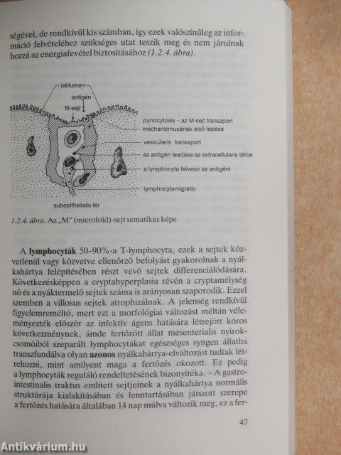 Táplálkozási allergiák