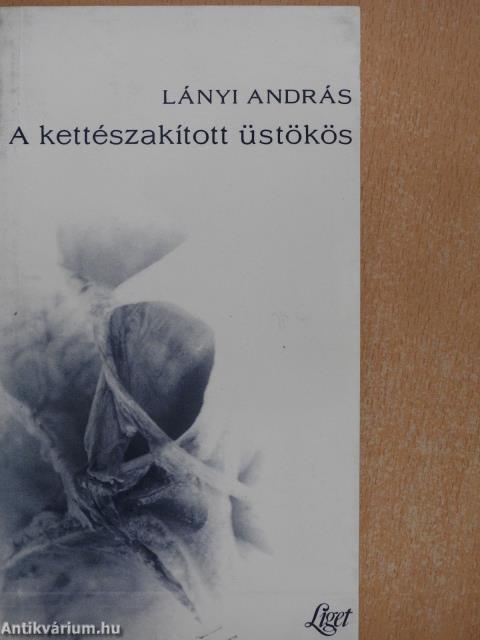 A kettészakított üstökös