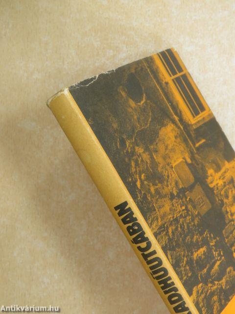 A Maradjhű-utcában