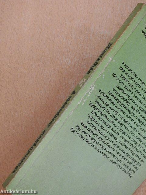 A menedzser magányossága