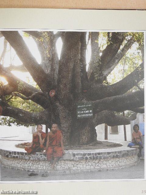 Buddha gyermekei