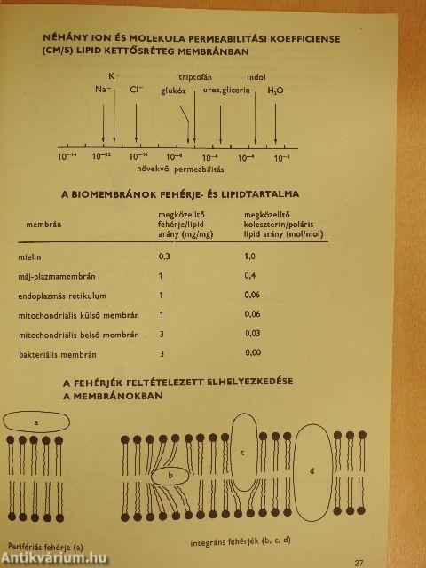 Membránbiokémia, immunbiokémia