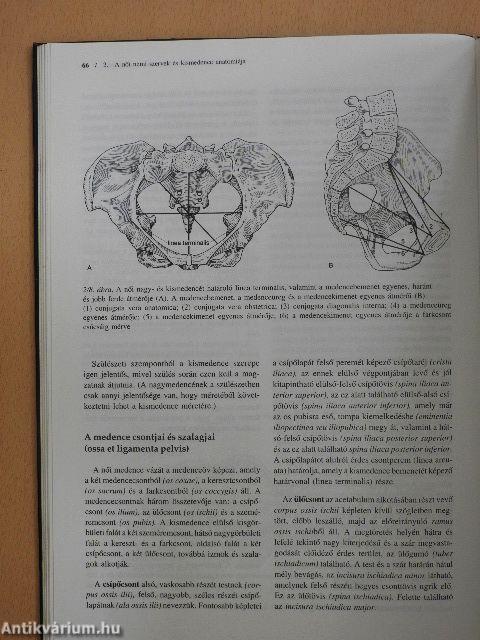 A szülészet-nőgyógyászat tankönyve