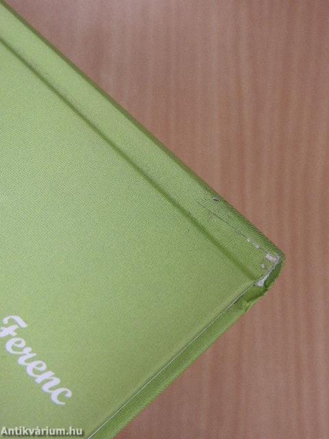 Nevében él a nemzett