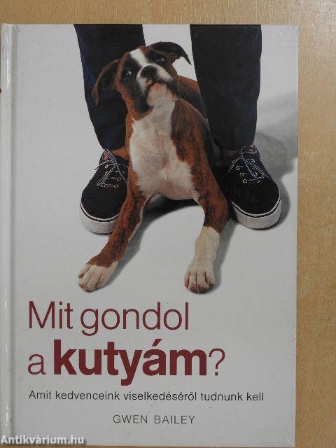 Mit gondol a kutyám?