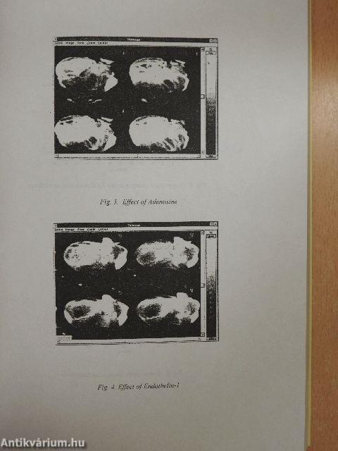 Proceedings of Combio '96