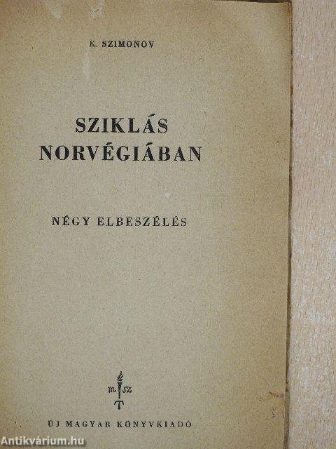 Sziklás Norvégiában