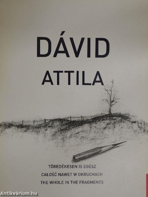 Dávid Attila - Töredékesen is egész