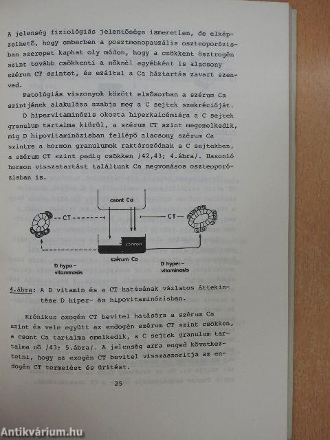 A kalcium háztartás szabályozása fiziológiás és patológiás körülmények között