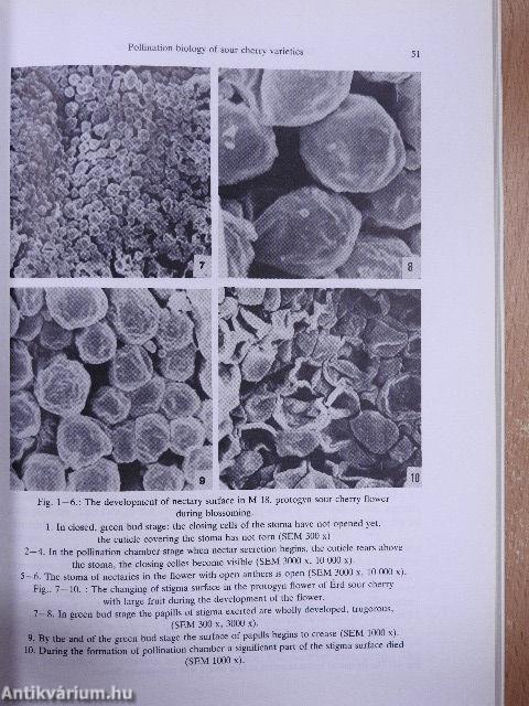 Acta Biologica Tomus XXXVIII. Fasciculi 1-4.