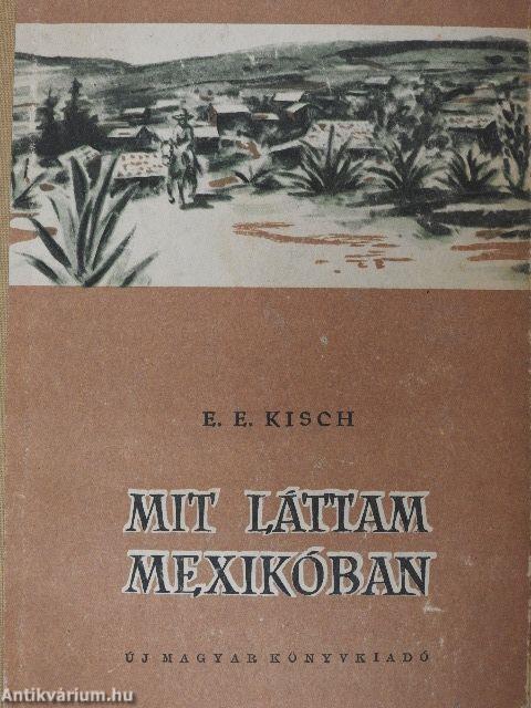 Mit láttam Mexikóban