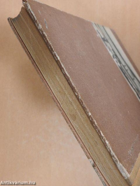 Mit láttam Mexikóban