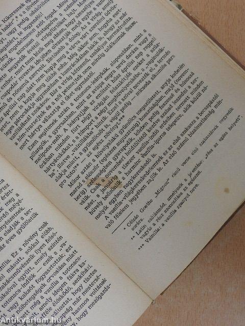 Mit láttam Mexikóban