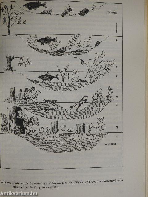 Korunk környezetbiológiája