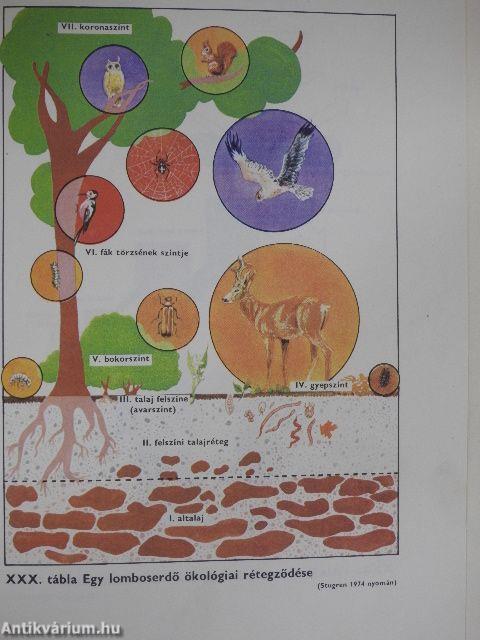Korunk környezetbiológiája