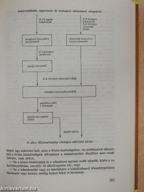 A nagyüzemi állatállomány egészségvédelme