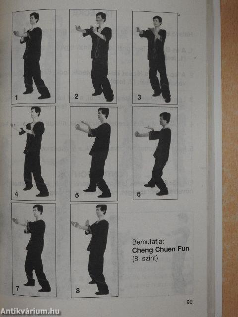 Dynamic Wing Tsun kungfu