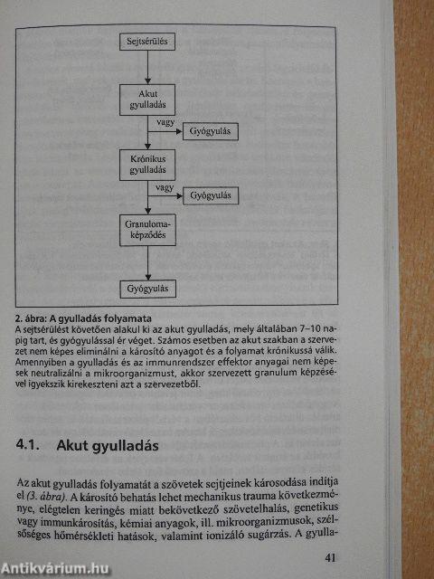 Nem-szteroid gyulladásgátlók