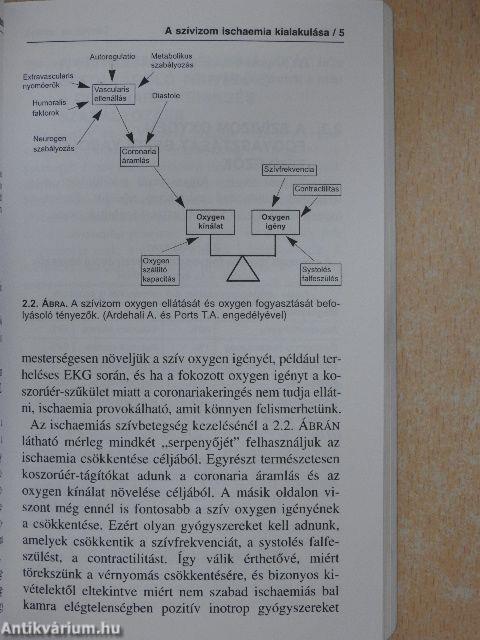 Ischaemiás szívbetegségek