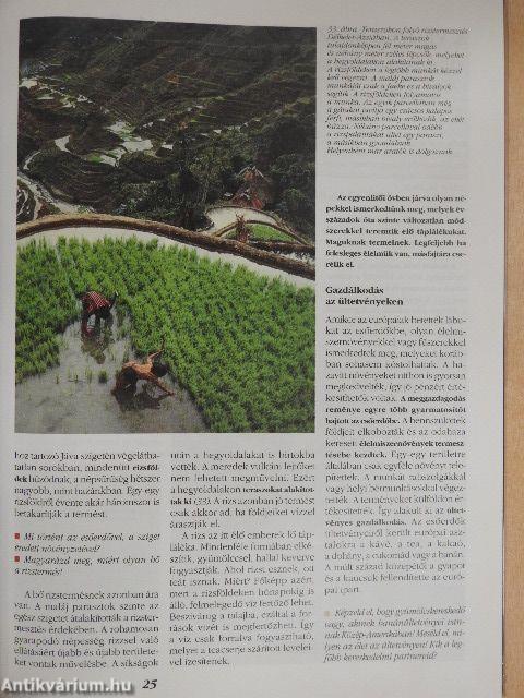 A Föld, amelyen élünk 2.
