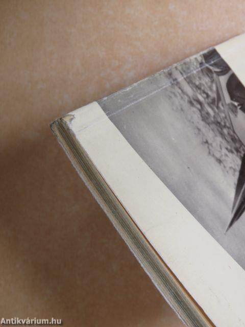 Ez történt Rómában