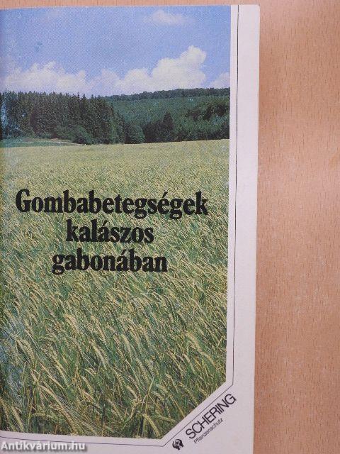 Gombabetegségek kalászos gabonában