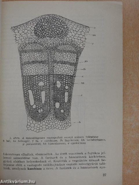 Szőlőtermesztés I.