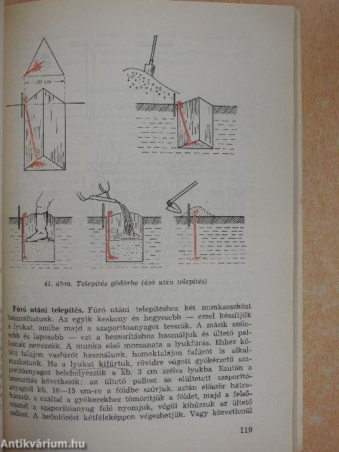 Szőlőtermesztés I.